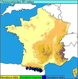 Mapa de distribución de Festuca eskia en el Pirineo.