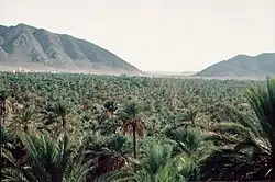 Estribaciones occidentales de la cordillera Ksour cerca de Figuig