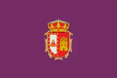 Bandera de Burgos