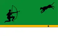 Bandera de Amazonas (Colombia)