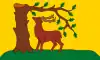 Bandera de Berkshire