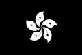 "Bauhinia negra", bandera sobre fondo negro.