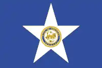 Bandera de la Ciudad de Houston