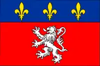 Bandera de Lyon