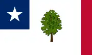 Bandera de Misisipi