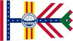 Bandera de Tampa, Florida