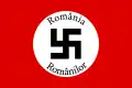 Bandera del Partido Nacional Socialista de Rumania