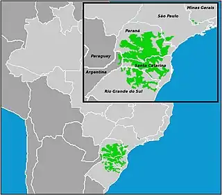 Distribución de la Araucaria angustifolia a mediados del s. XX.