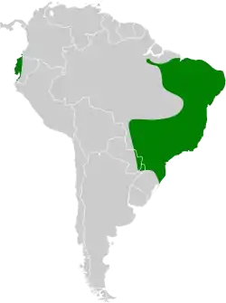 Distribución geográfica de la viudita enmascarada.