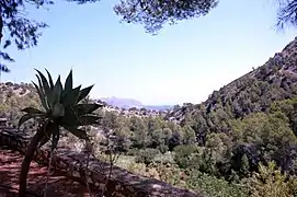 Paisaje desde el Hospital Ferris en el Sanatorio de Fontilles en Vall de Laguar (Alicante), 2017.