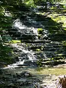 Cascada en el camino de "La Chute"