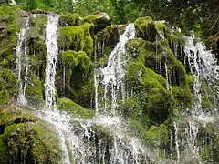 Agua contra las rocas mohosas. "La Chute"