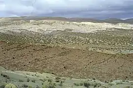 La Formación Agrio en Agua de la Mula