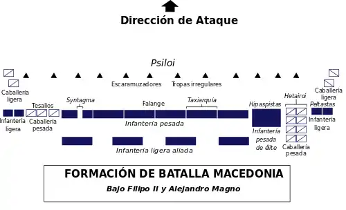 Formación de la falange