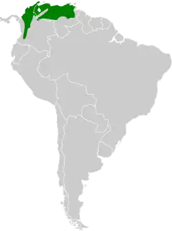 Distribución geográfica del hormiguerito coicorita norteño.