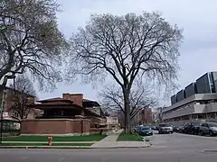 Solar arbolado en esquina. Enfrente, la universidad de Chicago.