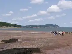 Caminata de playa por Herring Cove