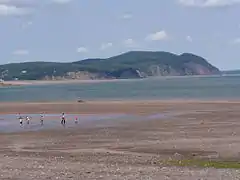 Playa de Alma en marea baja