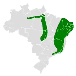 Distribución geográfica del hornero colibandeado.