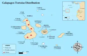 Distribución de todos los taxones de tortugas de las islas Galápagos.