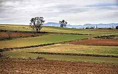 Vista de Gallecs