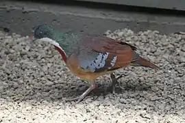 En el Zoológico de Filadelfia.