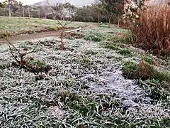 Escarcha en el centro de la ciudad en agosto