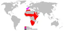 Mapa de distribución de Genetta genetta. Rojo: Autóctona. Rosa: Introducida. Negro: Introducida y extinta.