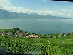 Lavaux, viñedos en terraza