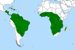 Distribución mundial de Genlisea