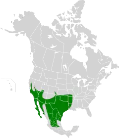 Mapa de la distribución del correcaminos norteño.