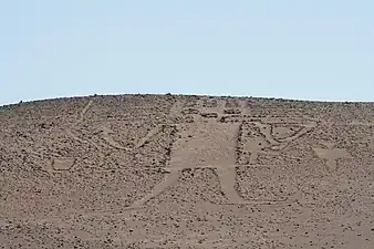 Gigante de Atacama