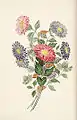 China Asters, 1817