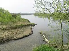 Estuario en Voulwammes