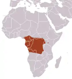 Distribución de la musaraña nutria