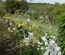 El jardín Monet de Giverny.