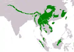 Distribución de Glaucidium brodiei