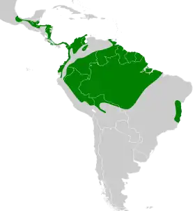 Distribución geográfica del trepatroncos picocuña.