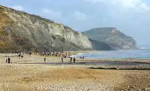 La costa jurásica en Charmouth, Dorset, donde los Anning hicieron algunos de sus descubrimientos.