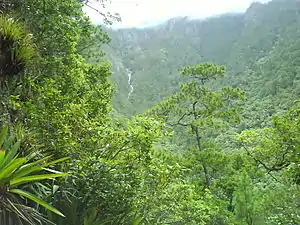 Imagen de la Cascada de San Lucía en la Montaña de Celaque.