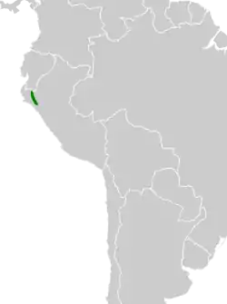 Distribución geográfica del tororoí de Cajamarca.