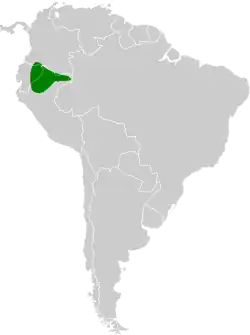 Distribución geográfica del tororoí del Napo.