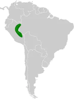 Distribución geográfica del tororoí del Ucayali.