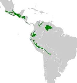 Distribución geográfica del tororoí cholino.