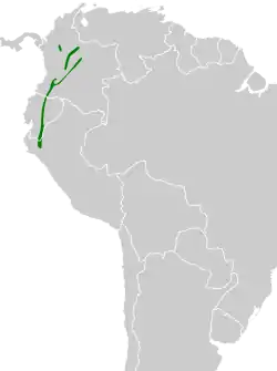 Distribución geográfica del tororoí ventriblanco.