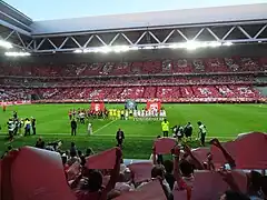 Stade Pierre-Mauroy50.000 espectadoresLille