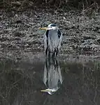 En Arkansas, EE.UU.