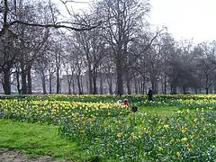 Green Park, Londres