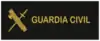 Divisa de guardia