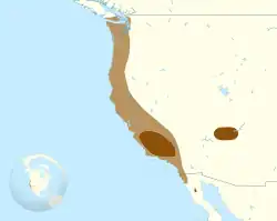 Distribución actual del género Gymnogyps.